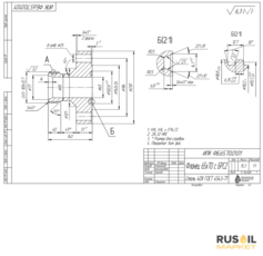ИПК ФБ.65.70.01.01 Фланец 65х70 с БРС2(Заготовка без отверстий и резьбы)