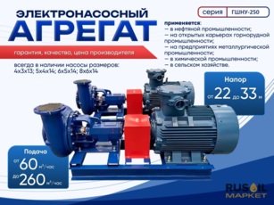 Агрегат электронасосный шламовый серии ГШНУ-250 
